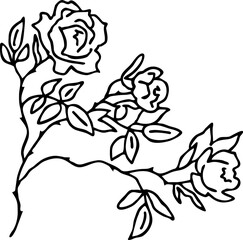 Beautiful roses with leaves. Romantic bohemian flowers  bouquet decorative element for birthday party postcard, wedding celebration invitation. Hand drawn vector illustration. Line art style drawing