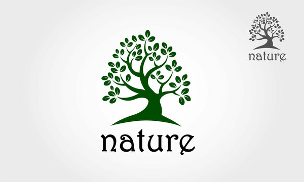 Nature Vector Logo Template. Green tree  isolated on white background.
