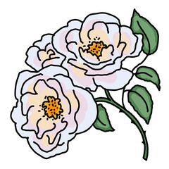 Beautiful roses with leaves. Romantic bohemian flowers  bouquet decorative element for birthday party postcard, wedding celebration invitation. Hand drawn illustration. Retro vintage style drawing. 