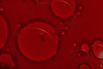 Selective close-up focus of a petri dish with blood. The concept of developing pharmaceutical drugs...