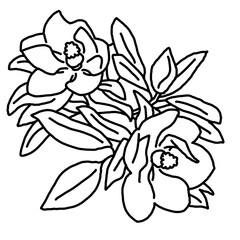 Beautiful spring flowers magnolia with green leaves. Decorative element for post card, print, poster. Wedding blooms to save the date. Hand drawn bohemian retro style illustration. Line art drawing. 