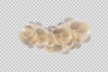 Dust cloud with dirt,cigarette smoke, smog, soil and sand  particles. Realistic vector isolated on transparent background. Concept house cleaning, air pollution,big explosion,desert sandstorm.