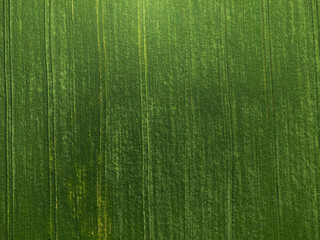 Aerial view of grass landscape