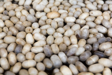 Close-up shot of silk cocoons