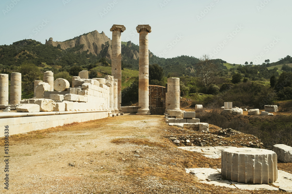 Wall mural Sardes temple of artemis ruins in trees