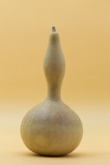 long neck pumpkin on a cream background