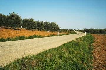 Fototapeta na wymiar A view of road between green
