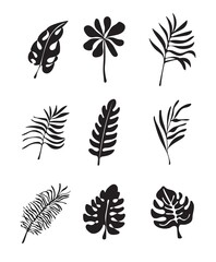 Fototapeta na wymiar Floral tropical branch of palm in silhouette style. Fern, monstera leaves for invitation, poster, logo.