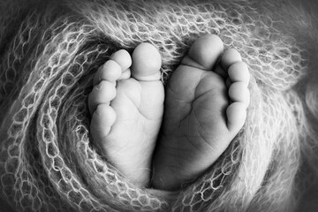 Fototapeta premium Knitted heart in the legs of a baby. Soft feet of a new born in a wool blanket. Close-up of toes, heels and feet of a newborn. Macro black and white photography the tiny foot of a newborn baby.