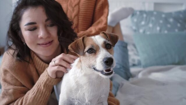 young mother daughter in sweaters sit on bed in cozy room with European interior with dog jack russell communicate cutely play against background of blue pillows, home pastime. Pet love concept
