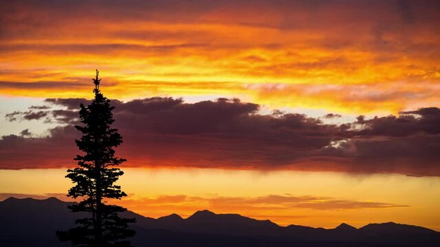 Time lapse of vibrant sunset looking past single tree on mountain top in Utah during summer.