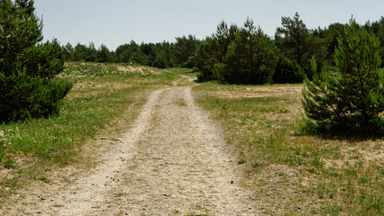 Fototapeta na wymiar dolomite country roads by the Baltic Sea through juniper bushes and meadows in Estonia