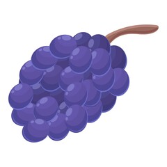 Armenia grapes icon cartoon vector. Medieval travel. Country meal