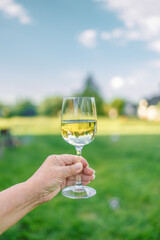 Woman hand holding glass of white wine over green nature background. 