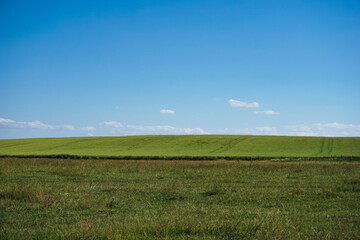 Beautiful Ukrainian green field in summer, sunny weather.