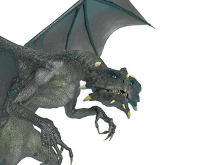 dragon close up view