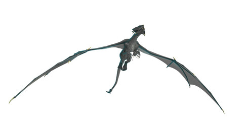 dragon flying to the sky