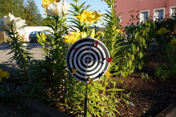 trying to hit the dartboard	
