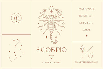 Scorpio Zodiac Sign Design Illustrations. Esoteric Vector Element, Icon - 513604575