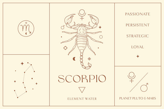 Scorpio Zodiac Sign Design Illustrations. Esoteric Vector Element, Icon