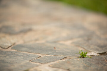 rock floor texture background