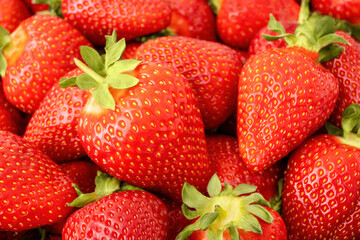 Strawberry background close up. Many fresh red berries with green leaves. Organic fruit for healthy nutrition.