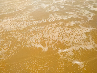 Summer beach concept - Soft wave of sea on empty sandy beach Background