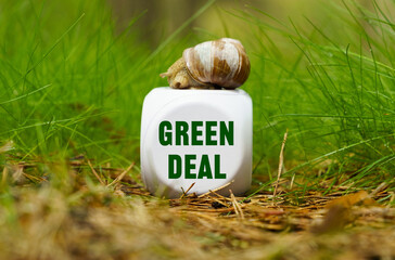 On the green grass there is a white cube with a snail, on the cube there is an inscription - Green Deal