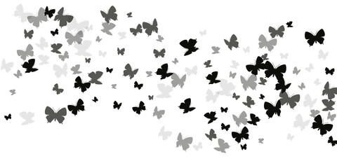 Fairy black butterflies flying vector wallpaper. Summer colorful moths. Detailed butterflies flying fantasy background. Tender wings insects graphic design. Garden beings.