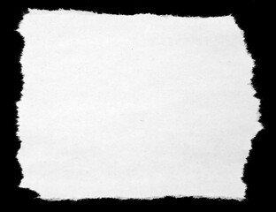 Piece of torn paper on black