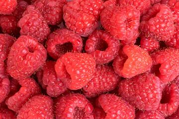 Red raspberry texture background, ripe berries top view