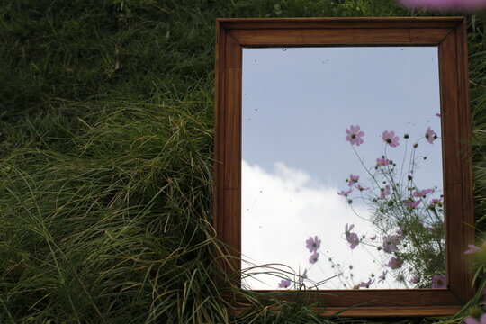 window with flowers