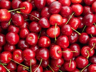 A lot red cherry lay background, cherry tails
