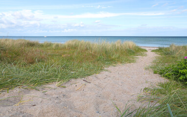 Path through the sand dunes at the coast of the Baltic Sea, Marielyst, Denmark