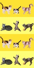 Ginger, tricolor and tabby cats on a striped yellow background in shades of butter and banana. Joyful seamless animal print for fabric, wallpaper.