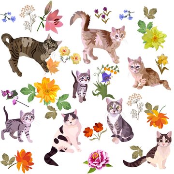 Beautiful cats play among flowers isolated on white background in vector. Seamless summer print for fabric, wallpaper.