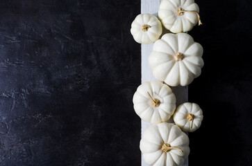 Autumn background. White pumpkins of different sizes on a white board and black background