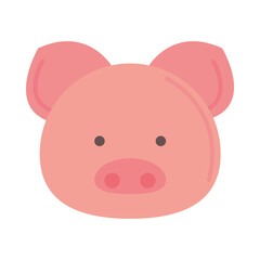 Obraz na płótnie Canvas cute pig head