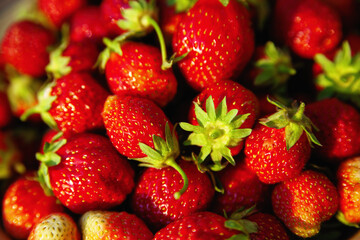 Bright garden strawberry close up