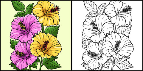 Hibiscus Flower Coloring Page Colored Illustration