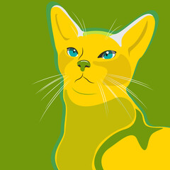 yellow cat on a green background