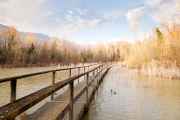 Old wood footbridge on lagoon, rural landscape