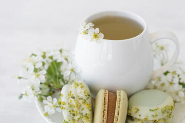 Traditional delicious French dessert - sweet homemade macarons on a vintage plate. Colourful tasty macaroons served on a white china with herbal tea. Decorated with fragile cherry tree flowers.