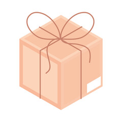 delivery package icon