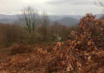 autumn in the mountains