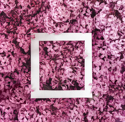 Beautiful lilac flowers in white frame. Summer floral composition. Nature concept. Love and romance...