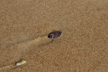 Alone at the beach