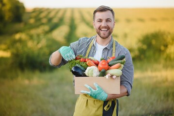 farmer holding a crate of bio vegetables in the farm. Happy man showing box of harvested vegetables.