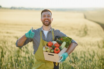 farmer carrying box of picked vegetables