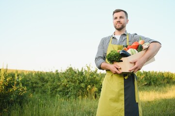 Young male farmer walking the green field and carrying box with harvest vegetables during sunny summer day.